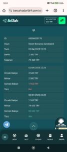 BETSALVADOR 83000 TL Kazancımı ödemiyor Kanıt Görseli