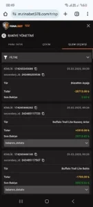Rinabet378.com kazancımı ödemiyor Kanıt Görseli