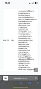 Anjouan gaming lisans siteleri Kanıt Görseli