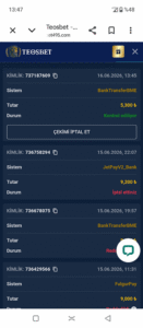Teosbet ödeme yapmıyor Kanıt Görseli