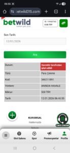 Betwild sahtekarlığı Kanıt Görseli