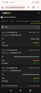 Cashwin Bakiyemi Sildi Kanıt Görseli