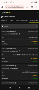Cashwin Bakiyemi Sildi Kanıt Görseli
