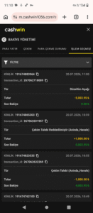 Cashwin Bakiyemi Sildi Kanıt Görseli