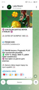Lake bahis dolandırıcı site oymamayın oynattırmayın Kanıt Görseli