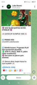 Lake bahis dolandırıcı site oymamayın oynattırmayın Kanıt Görseli