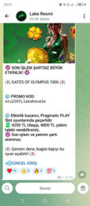 Lake bahis dolandırıcı site oymamayın oynattırmayın Kanıt Görseli