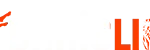 Bahislion Logo