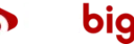 Betbigo Logo