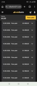 Mobilbahis Site Şikayeti Kanıt Görseli