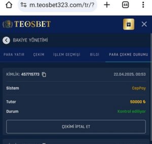 Teosbet adlı sıte ödemelerı yapmiyor Kanıt Görseli