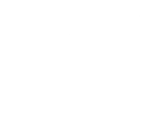 Lizabet Logo